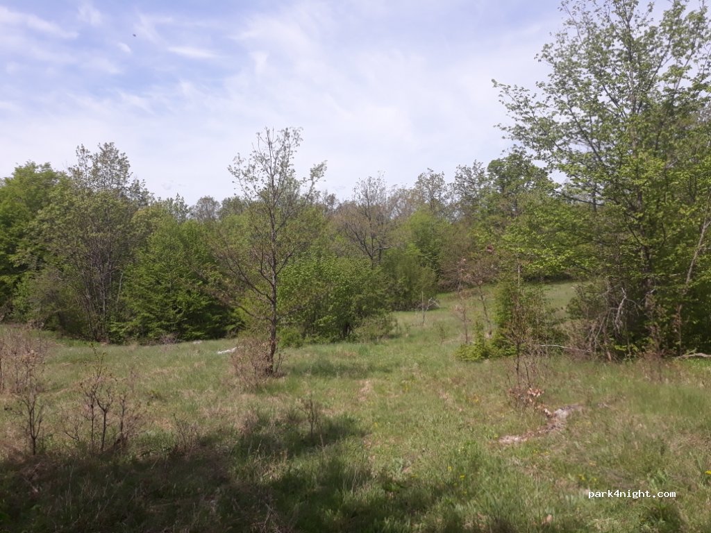 (53203) Krš - Unnamed Road — foto 2