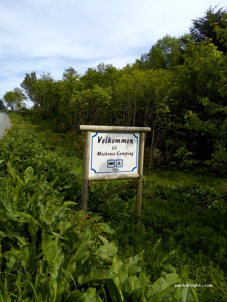 Camping Moskenes — foto