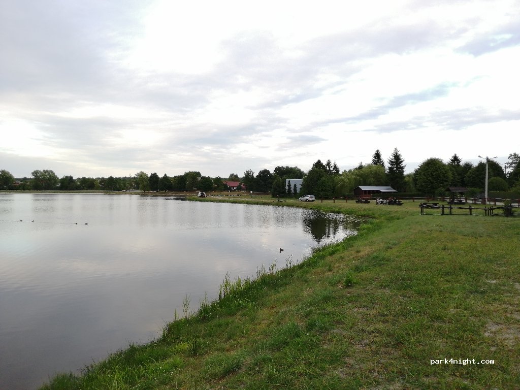 (37-307) Brzóza Królewska - — foto