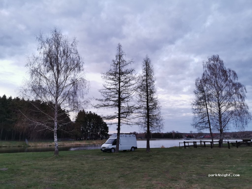 (37-307) Brzóza Królewska - — foto 2