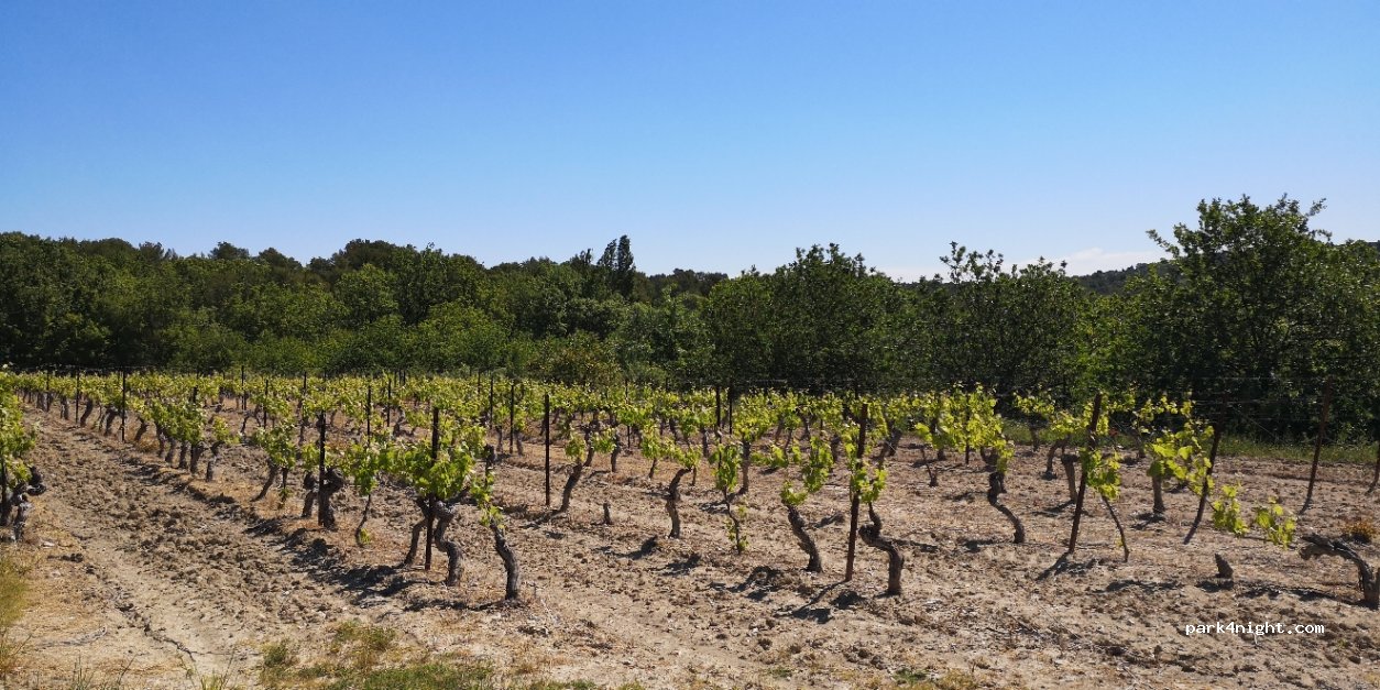 (84120) Beaumont-de-Pertuis - Unnamed Road — foto 2