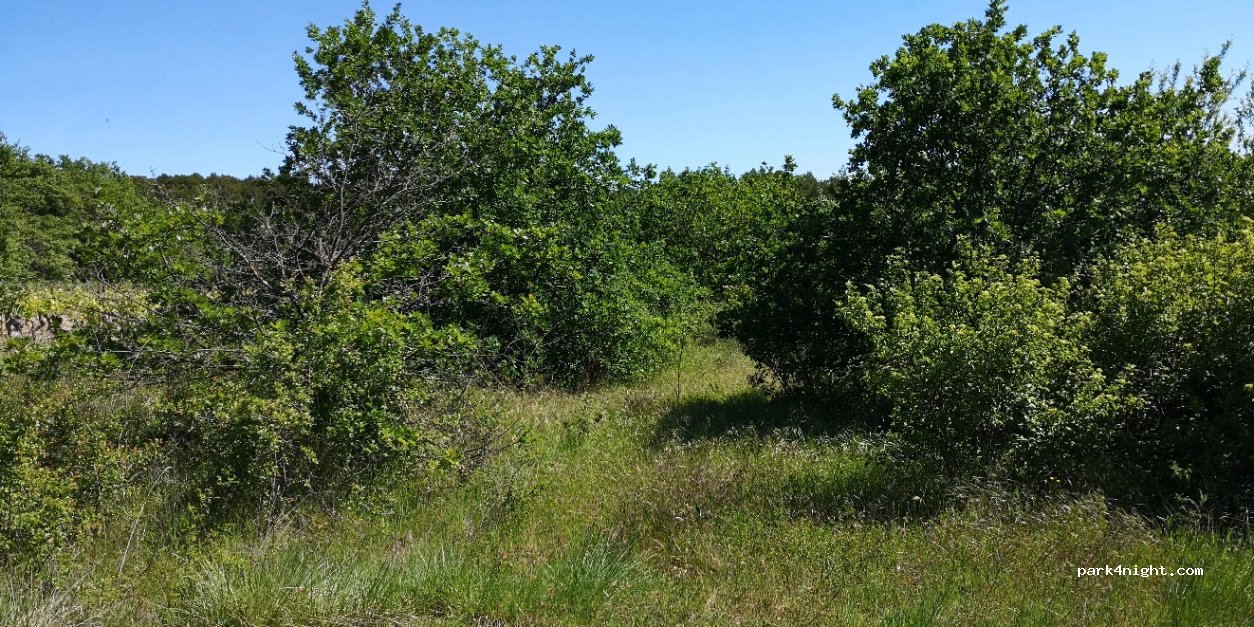 (84120) Beaumont-de-Pertuis - Unnamed Road — foto 4