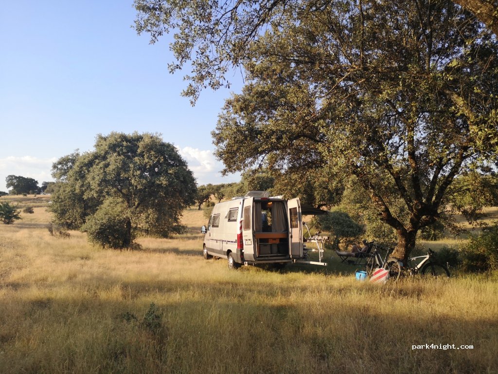 Finca Las Canadas — foto 2