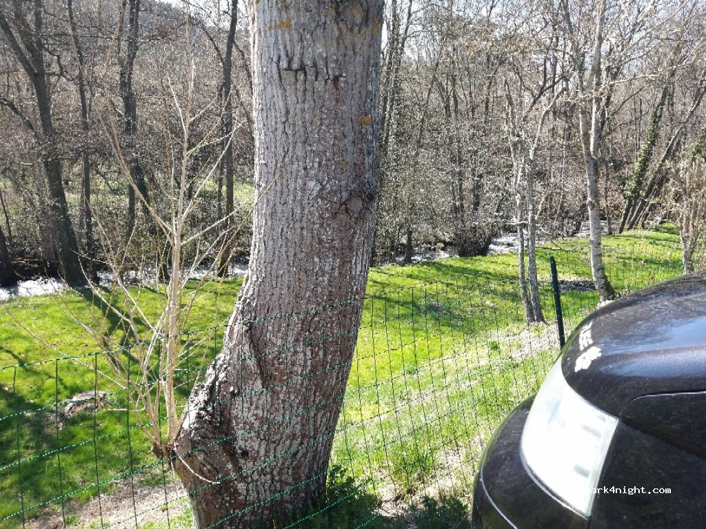 Camping Le Domaine Du Marais lac Chambon Murol — foto