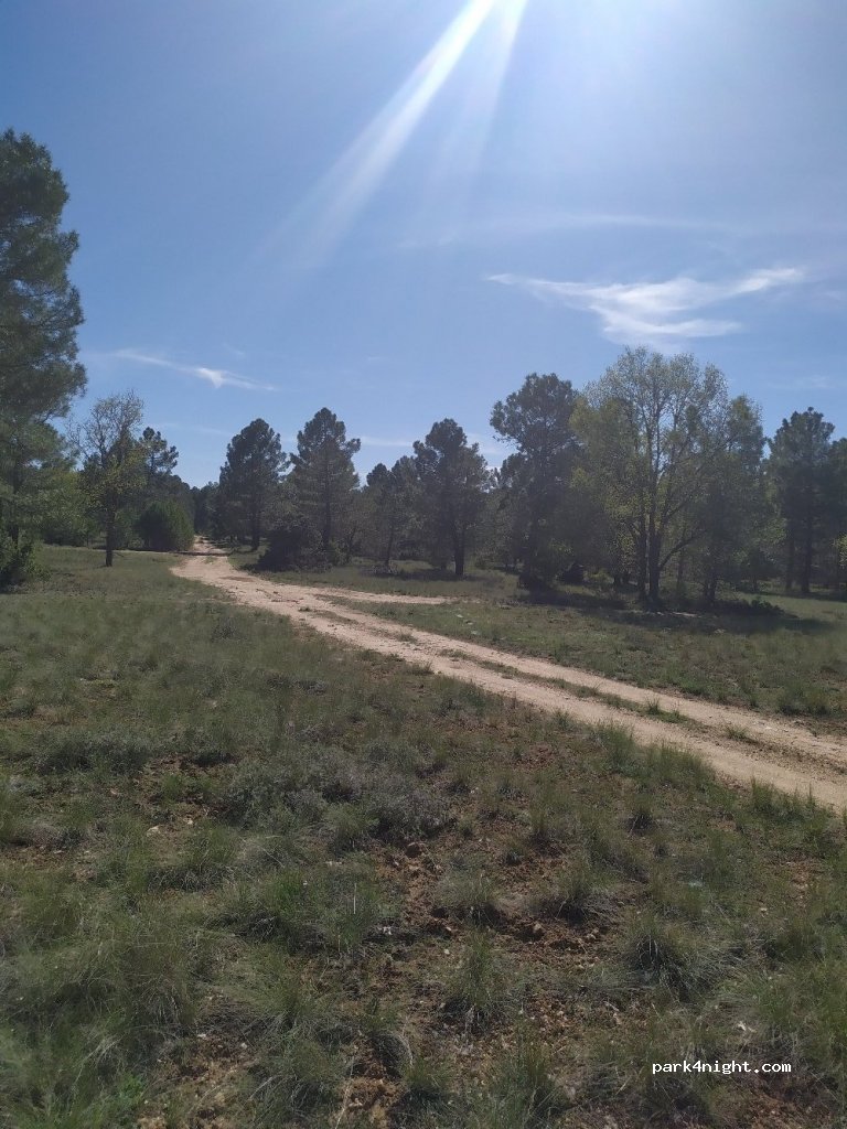 (16360) Monteagudo de las Salinas - Unnamed Road — foto 2