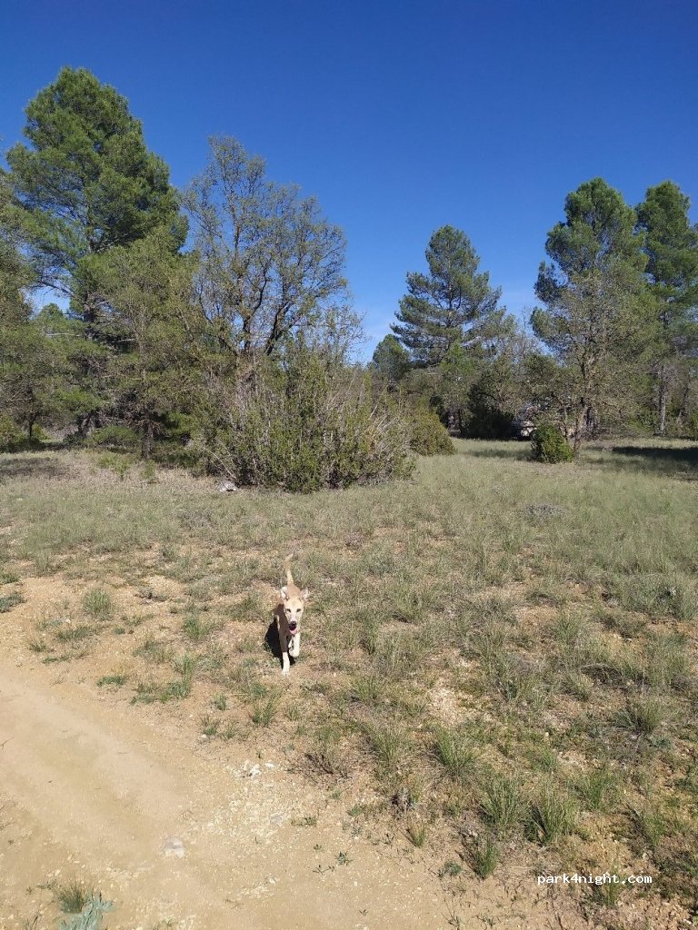 (16360) Monteagudo de las Salinas - Unnamed Road — foto 3