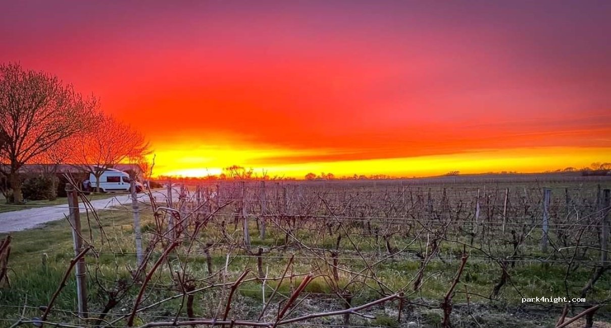 Aire de camping-cars au milieu de vignes en AB — foto 5