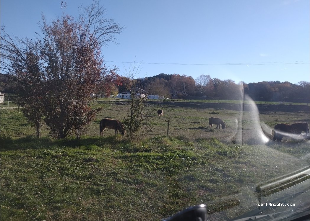 Ferme Equestre Et Gîte Rural Les Coccinelles — foto 4