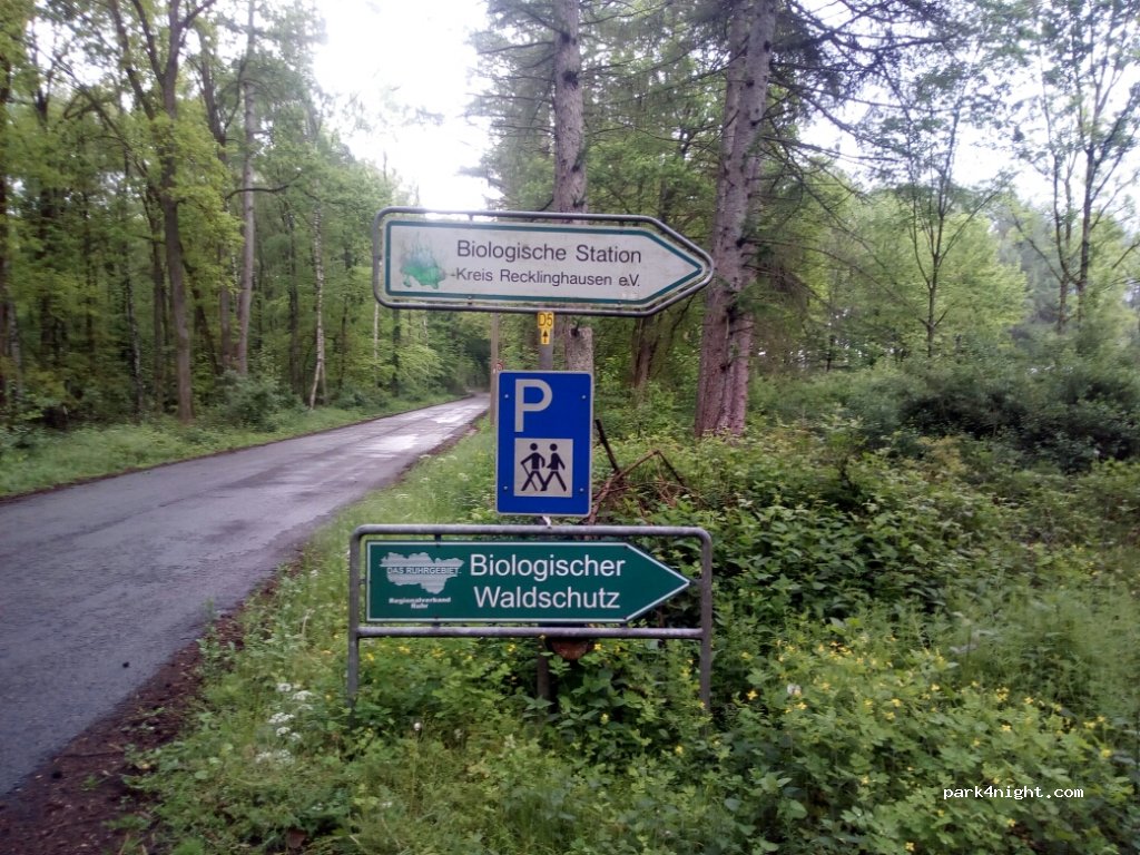 Wanderparkplatz Nr. 13 — foto