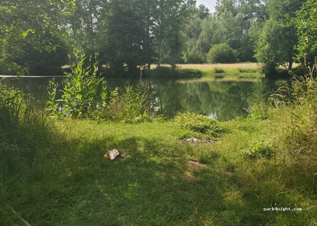 (89460) Sainte-Pallaye - Le Pré de l'Ysle — foto 3