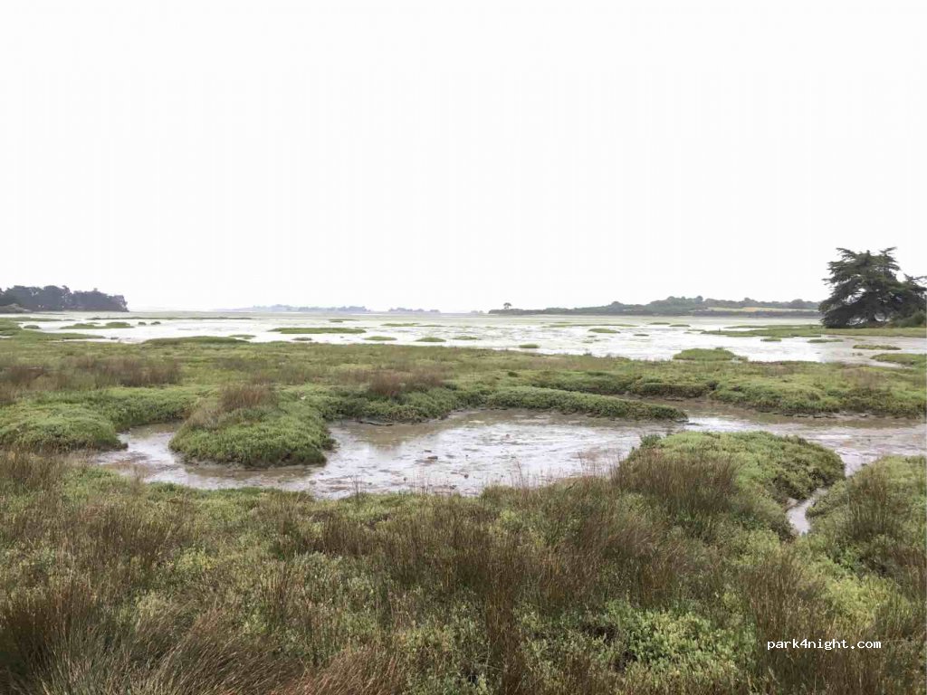 (56370) Sarzeau - 38 Route du Golfe — foto