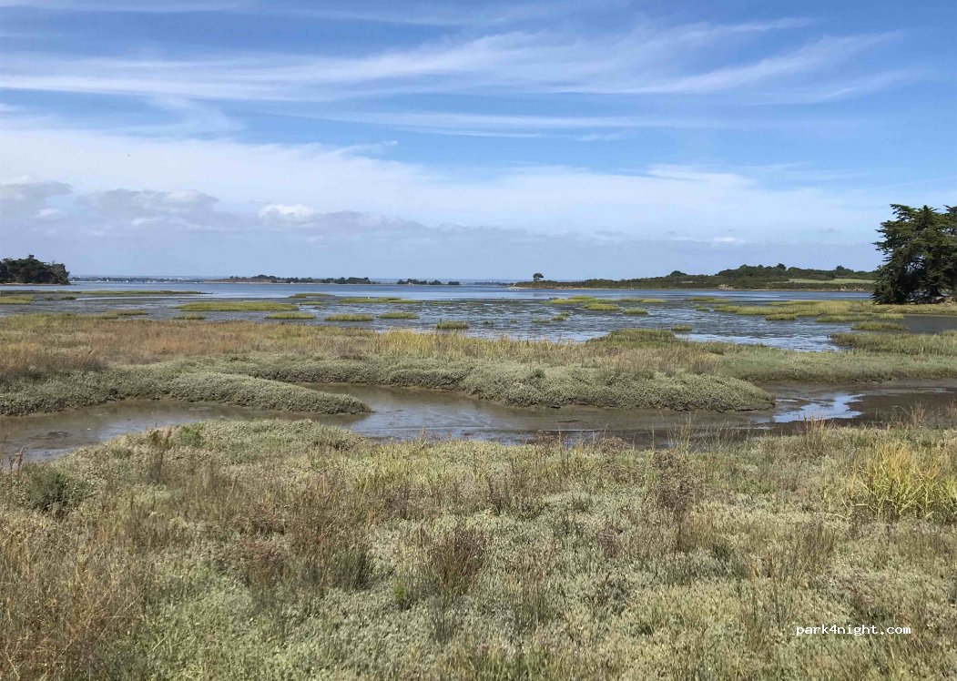 (56370) Sarzeau - 38 Route du Golfe — foto 2