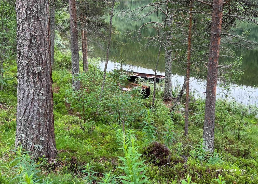 (2477)  - Primær Fylkesveg 219 — foto 3