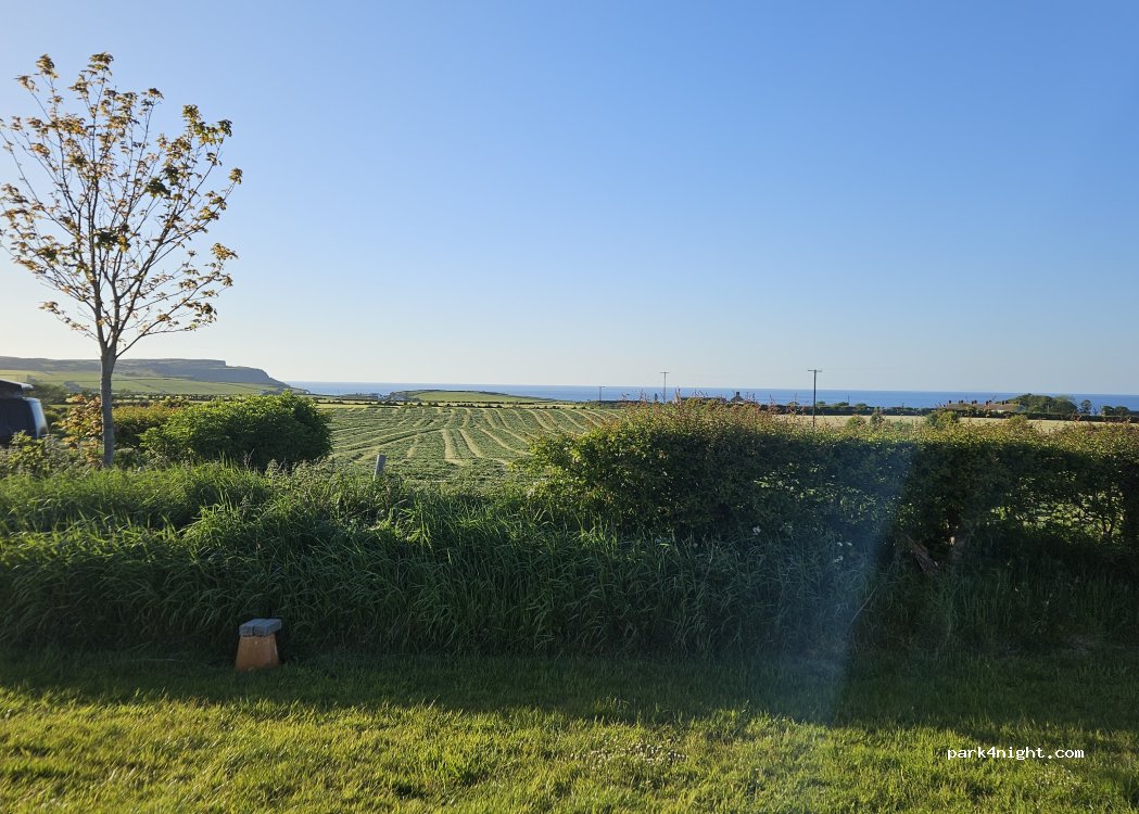 Craig House Campsite — foto 5