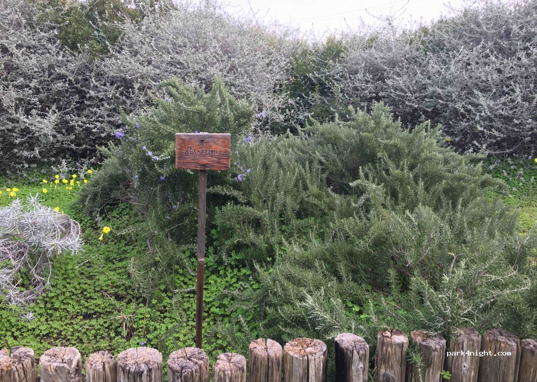 (91029) Roccazzo - Strada Statale 119 di Gibellina — foto 3