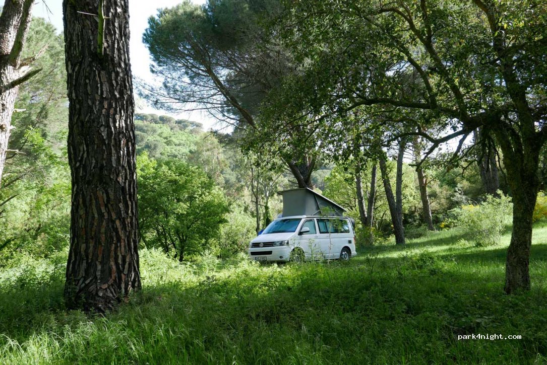 (90030) Godrano - Strada Provinciale 26 — foto