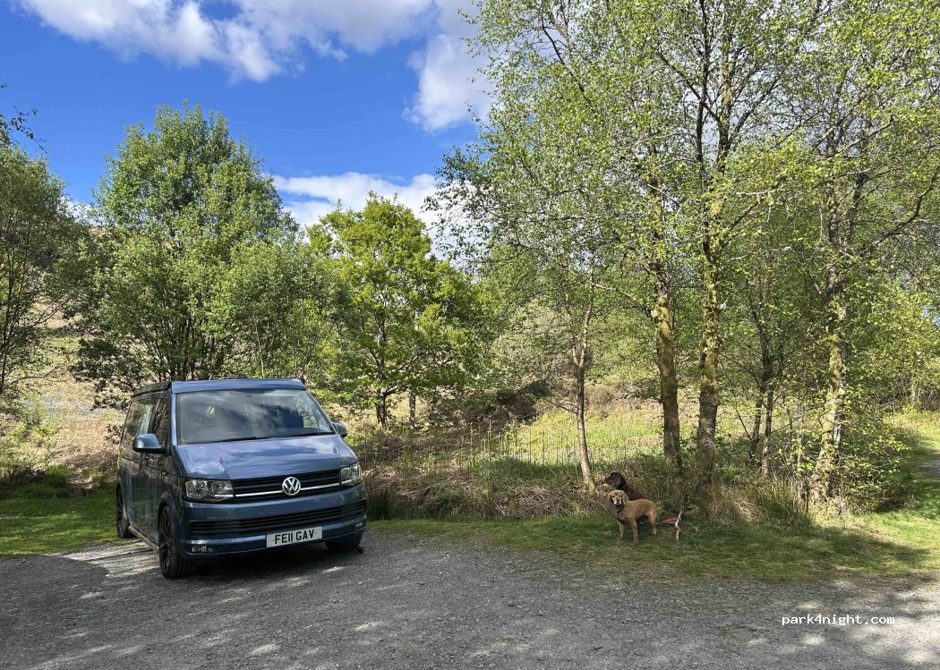 (DG8 6SU) Newton Stewart - Unnamed Road — foto 3