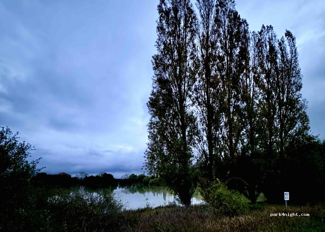 (45470) Loury - 1404 D11 — foto 4