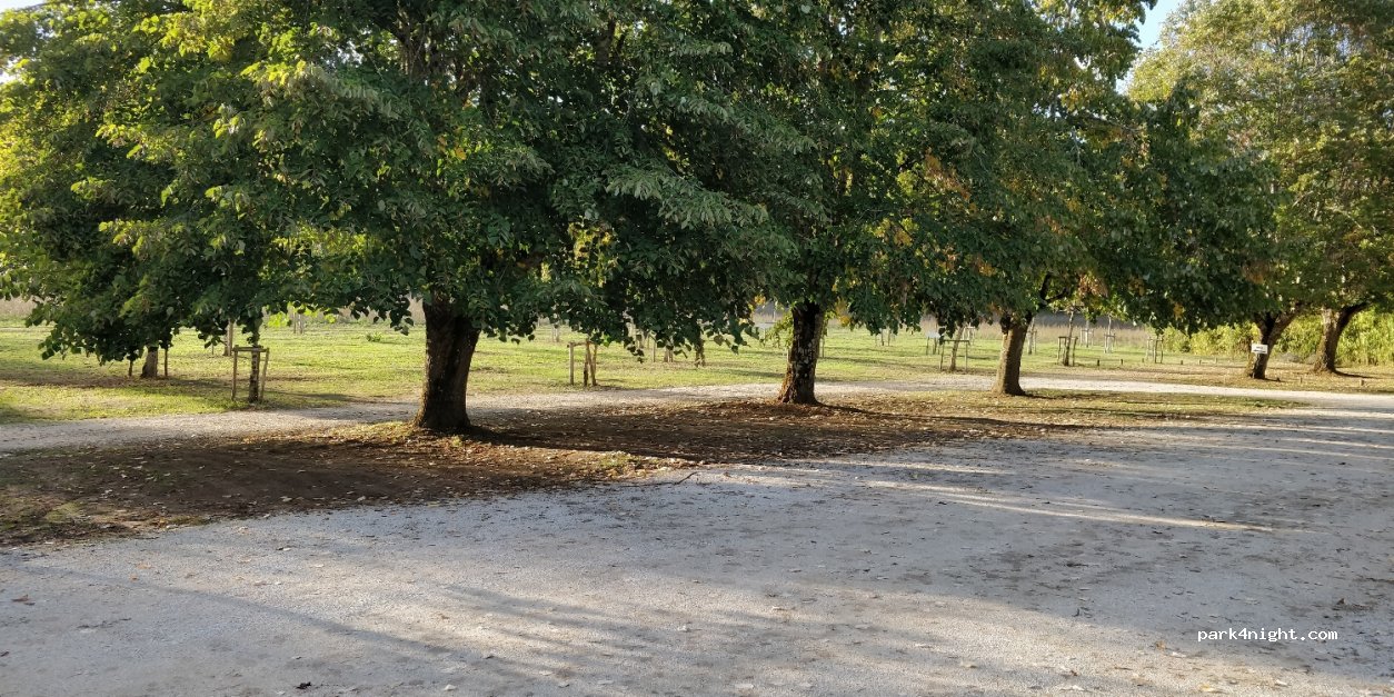 (24290) Thonac - Allée du Château de Losse — foto 2