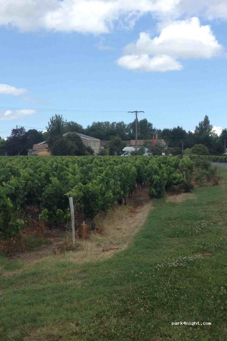 Domaine Châteaux Ferre Et Haut Brignais — foto