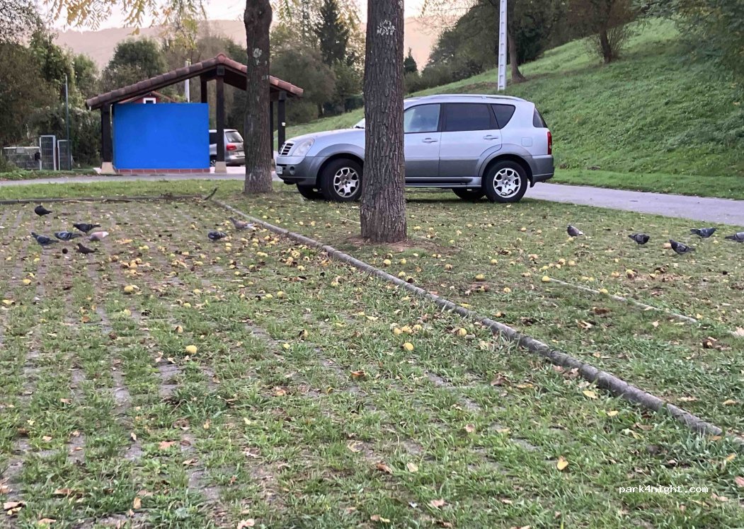 (48003) Arrigorriaga - 6 Ollargan Auzoa — foto 5