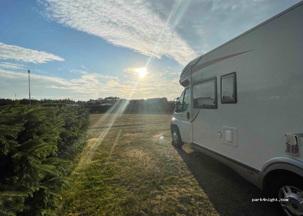 Skiveren Camping — foto 3