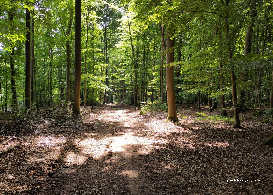 Campingplatz Nesselröder — foto 4