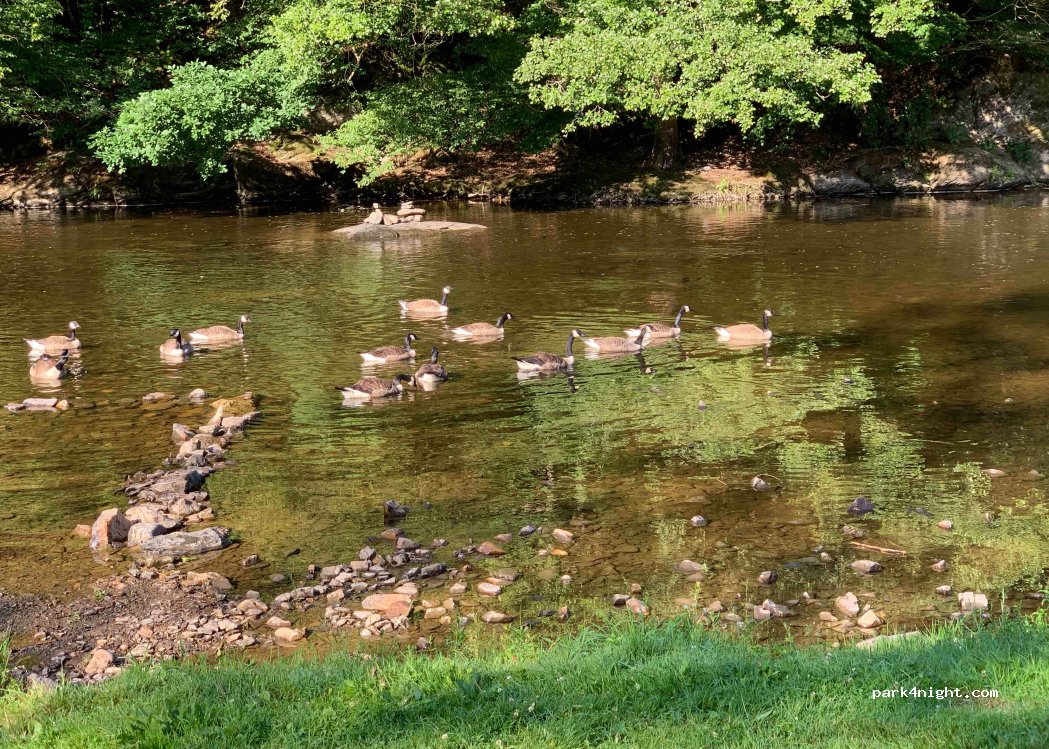Camping de l'Ourthe — foto