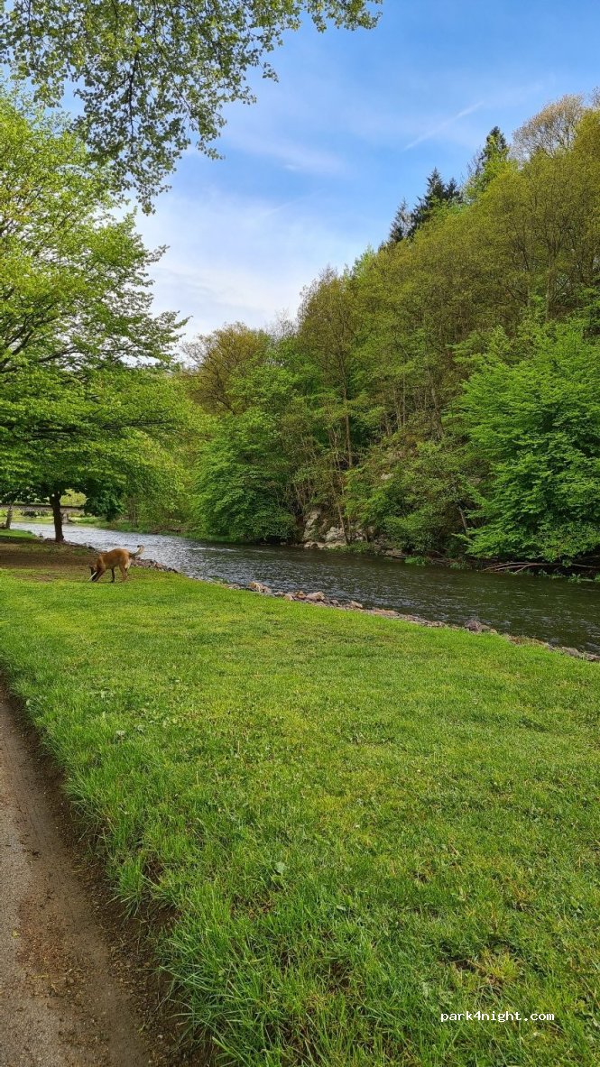 Camping de l'Ourthe — foto 3