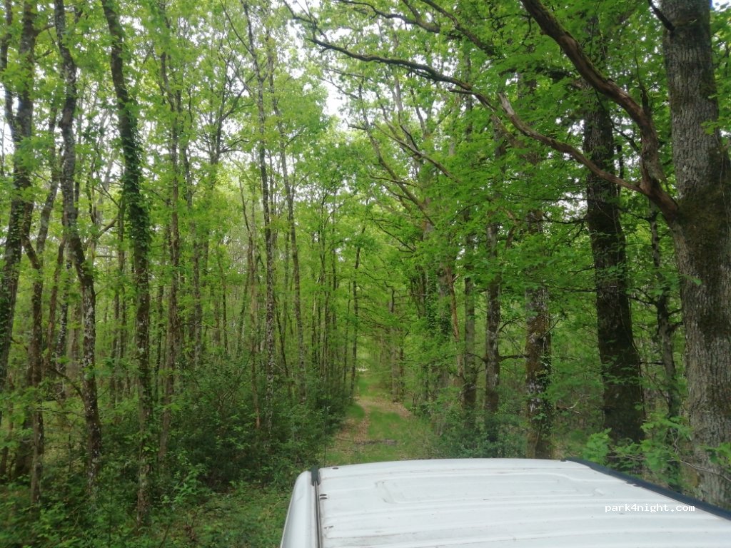 (41600) Souvigny-en-Sologne - Unnamed Road — foto 2