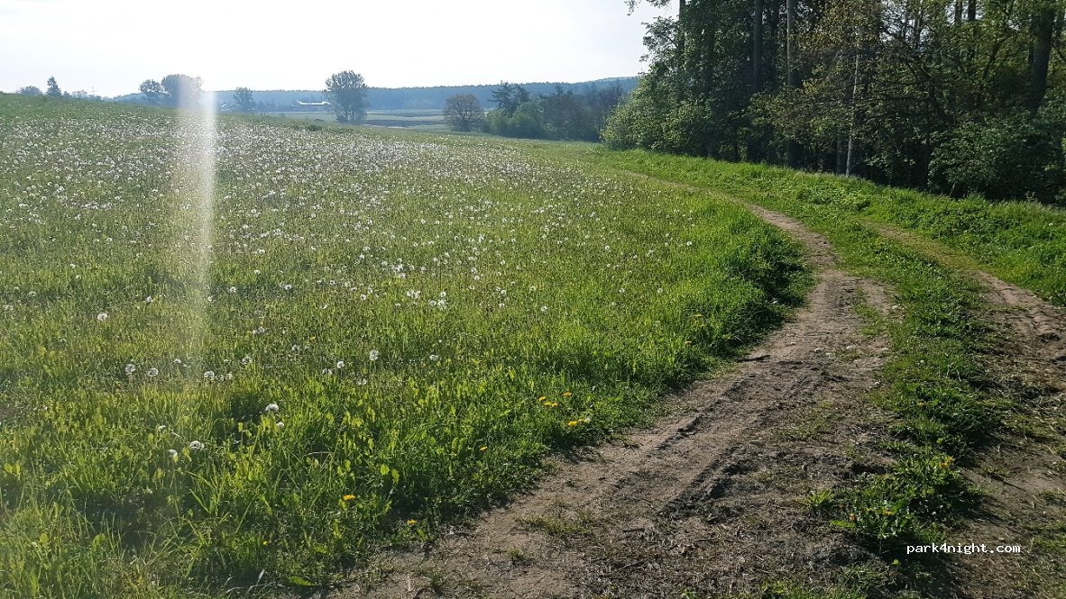 (91183) Abenberg - Unnamed Road — foto