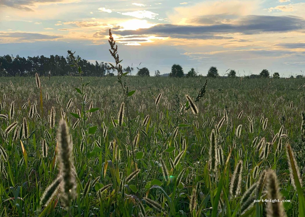 (91183) Abenberg - Unnamed Road — foto 4
