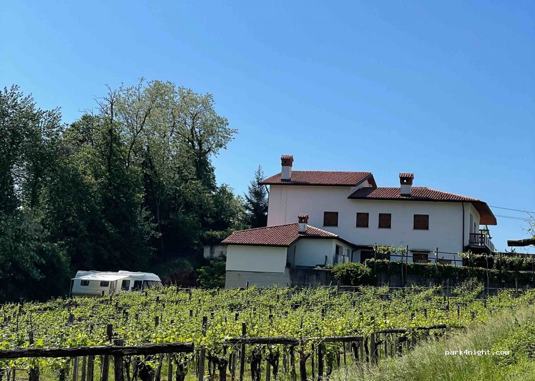Vinarstvo Širca Kodrič — foto 3