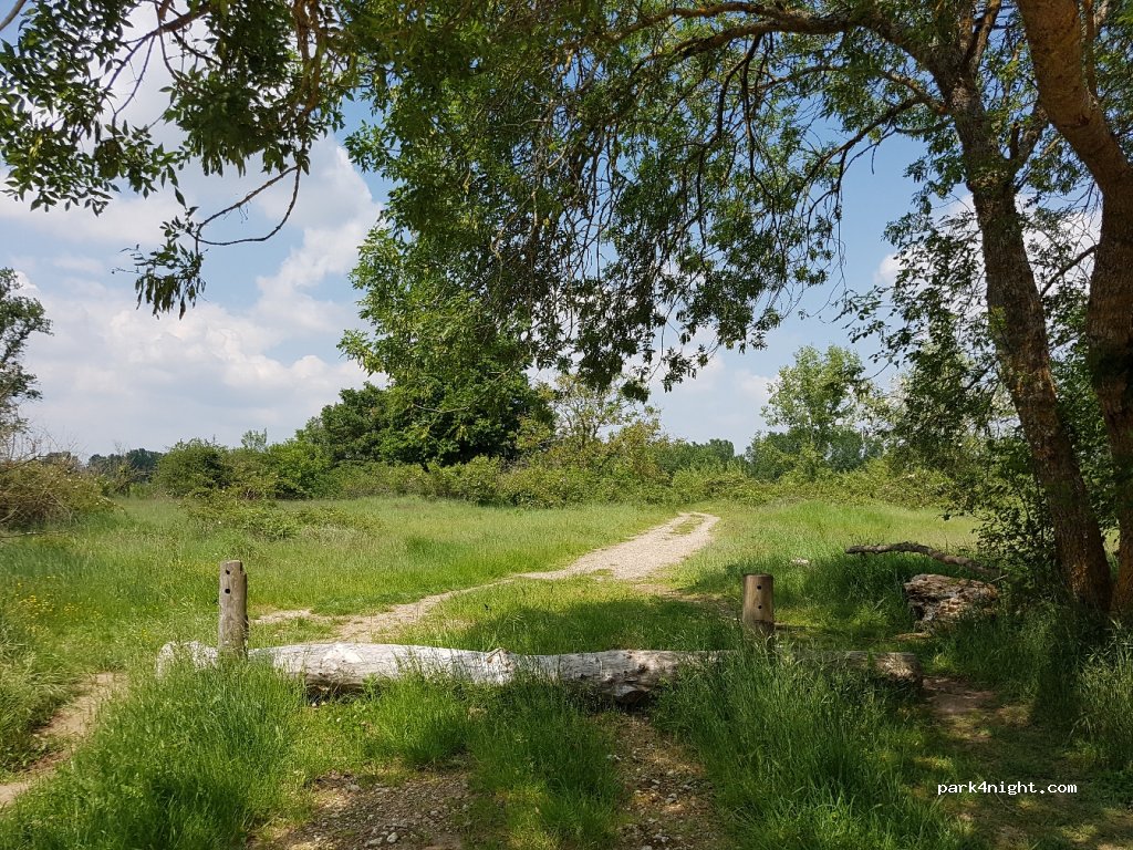 (37270) Montlouis-sur-Loire - D751 — foto 4