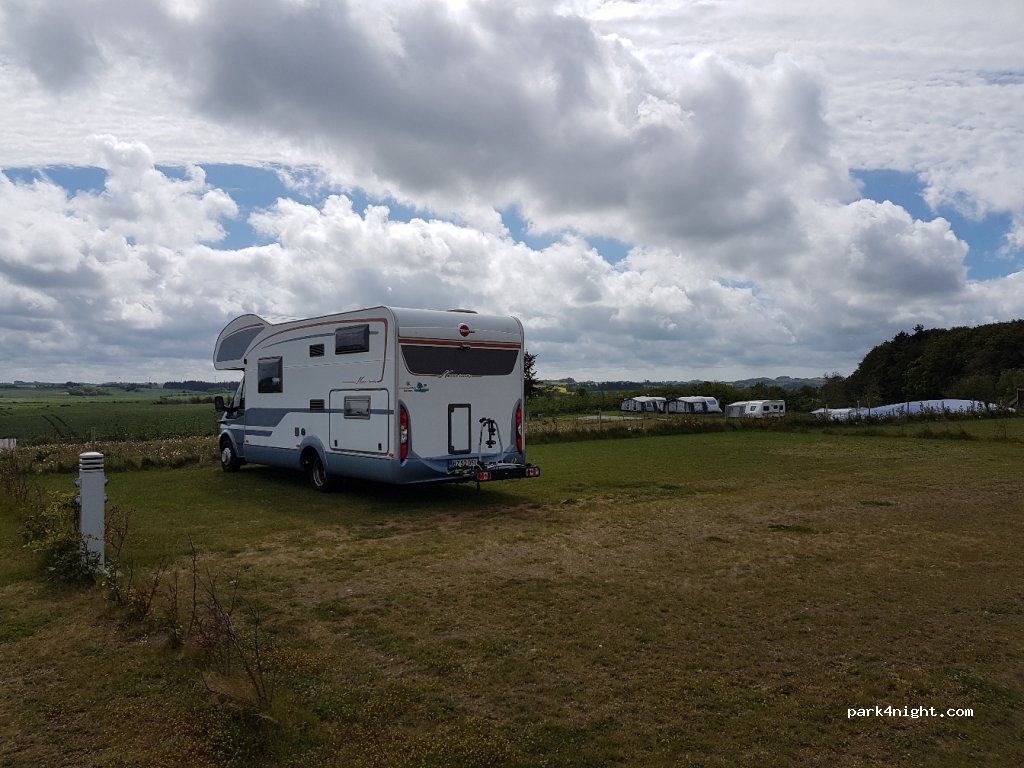 Toftum Bjerge Camping — foto 3