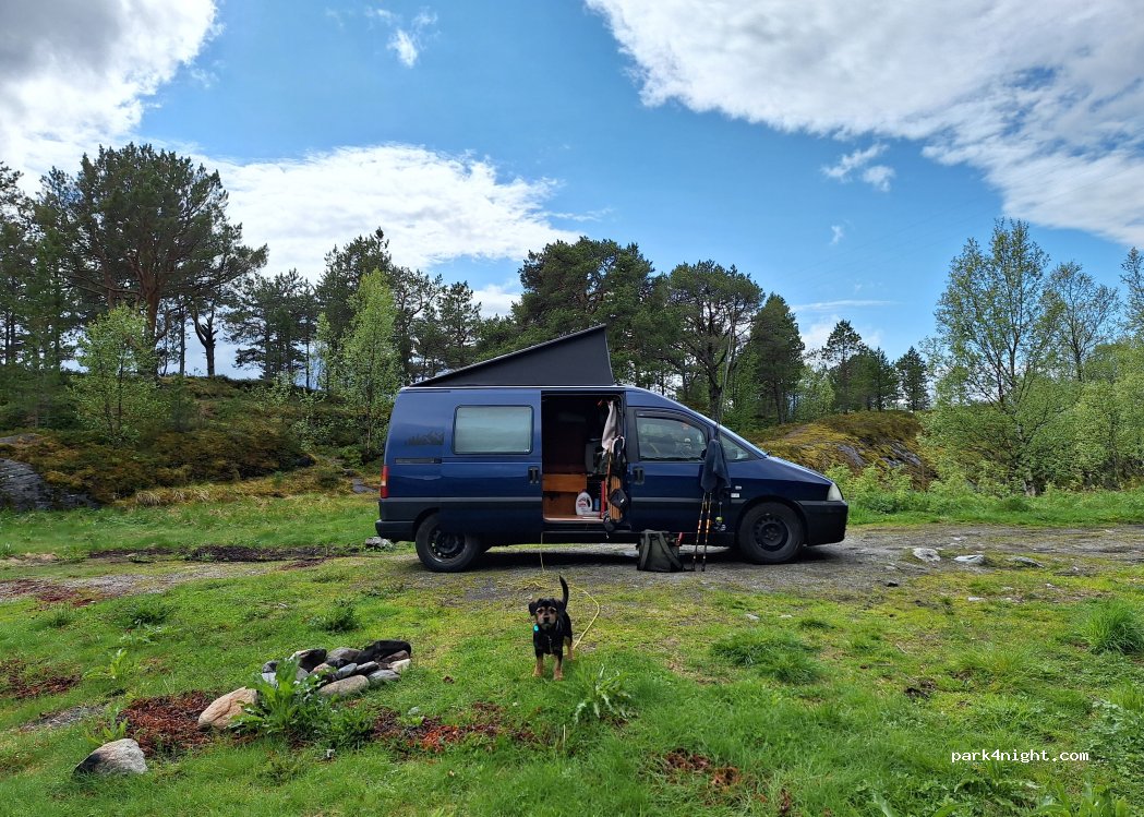 (8540)  - Sekundær Fylkesveg 741 — foto 5