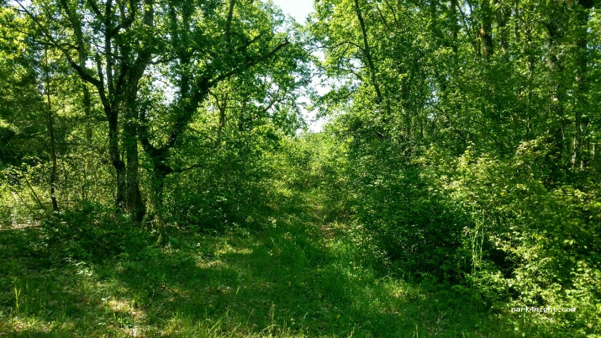 (24510) Paunat - D2 — foto 3
