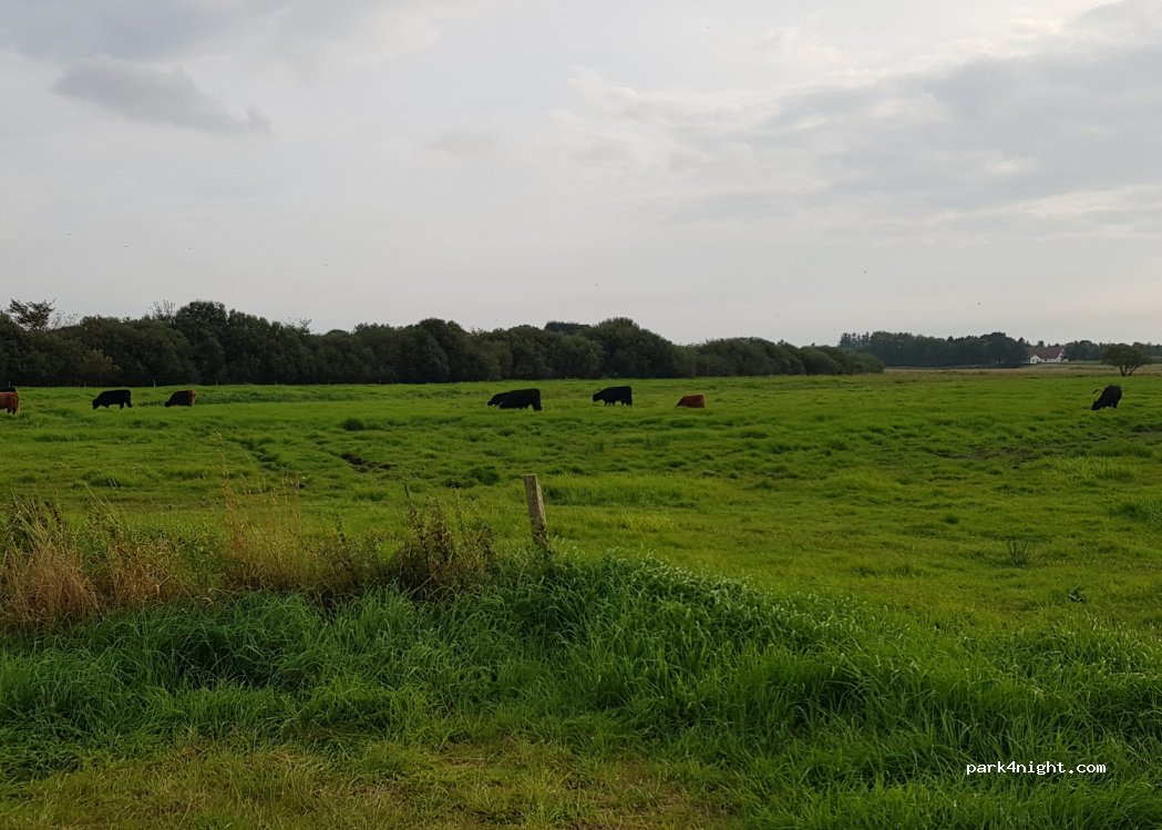 (6683) Føvling - 15A Nielsbygårdvej — foto 3
