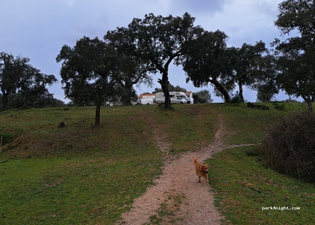 Quinta Centro Lusitano Portugal — foto 4