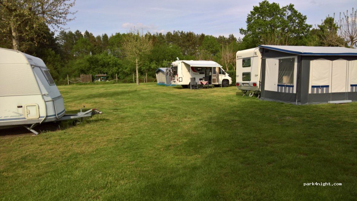 Im grünen Elsebusch — foto