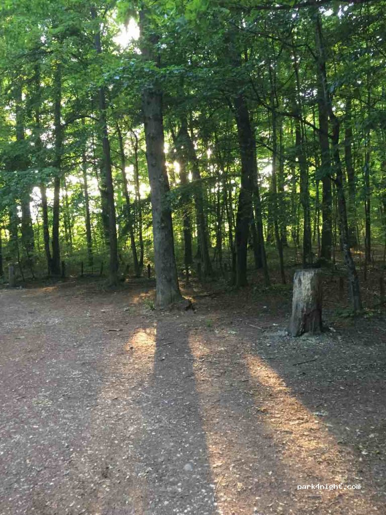 (1290) Versoix - 1290 Route des Fayards — foto