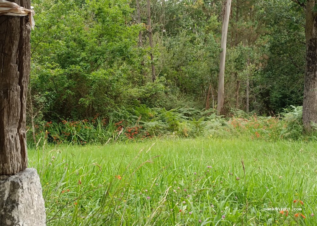 (48391) Vizcaya - 13 Zabala-Belendiz Auzoa — foto 4