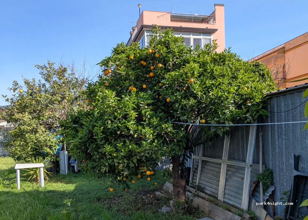 (98035) Giardini Naxos - 13 Via Tevere — foto 5