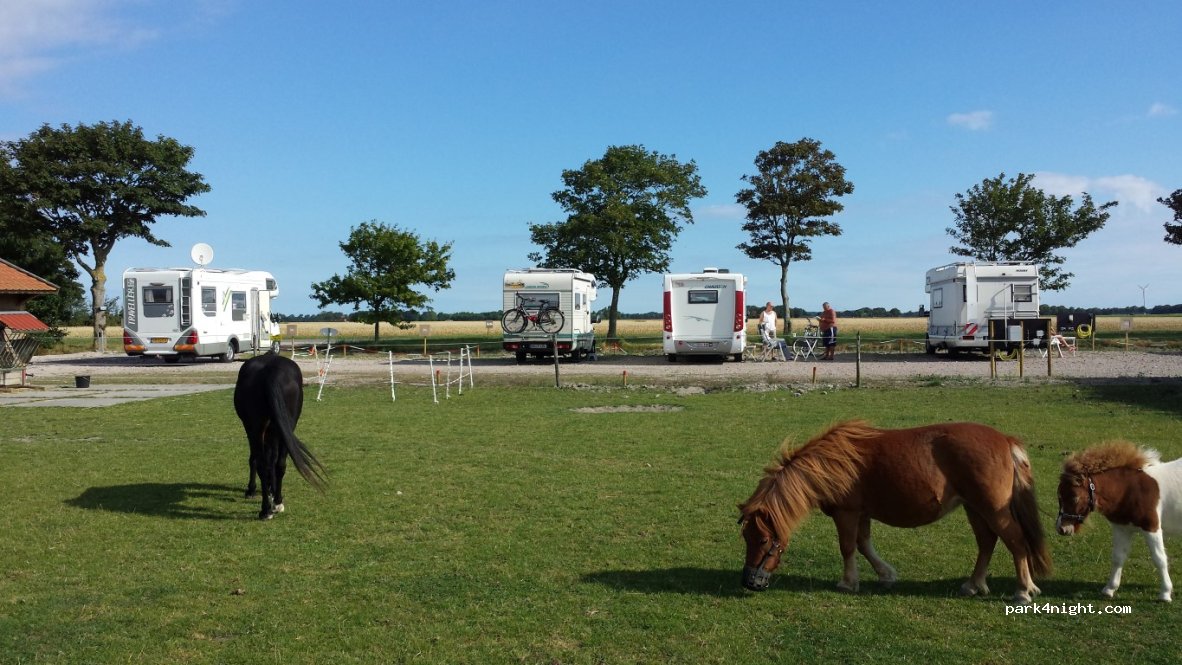 Camperplaats de Tulpentuin — foto 3