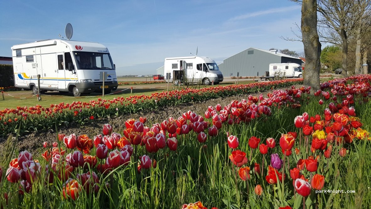 Camperplaats de Tulpentuin — foto 4