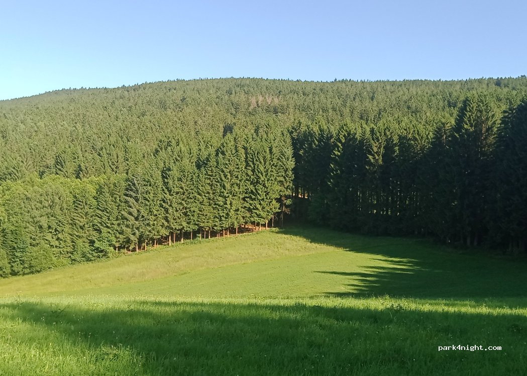 (93453) Neukirchen beim Heiligen Blut - — foto 3