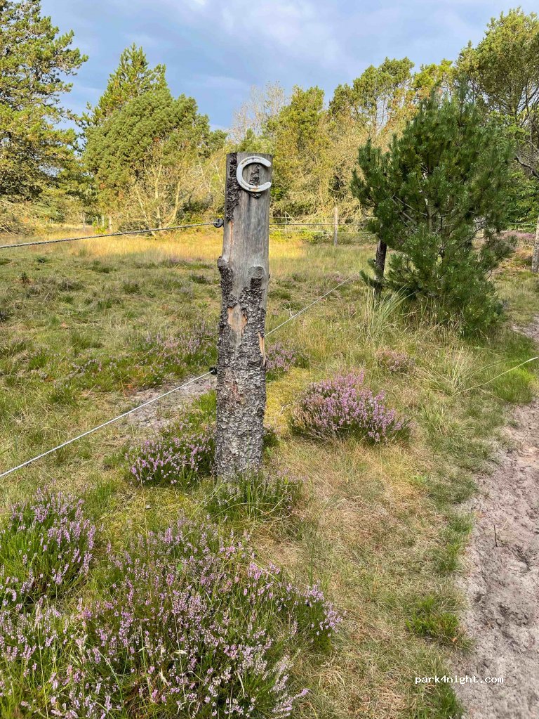 Ålbæk Bed & Breakfast — foto 2
