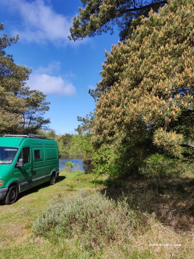 (7741) Frøstrup - Klitvejen — foto