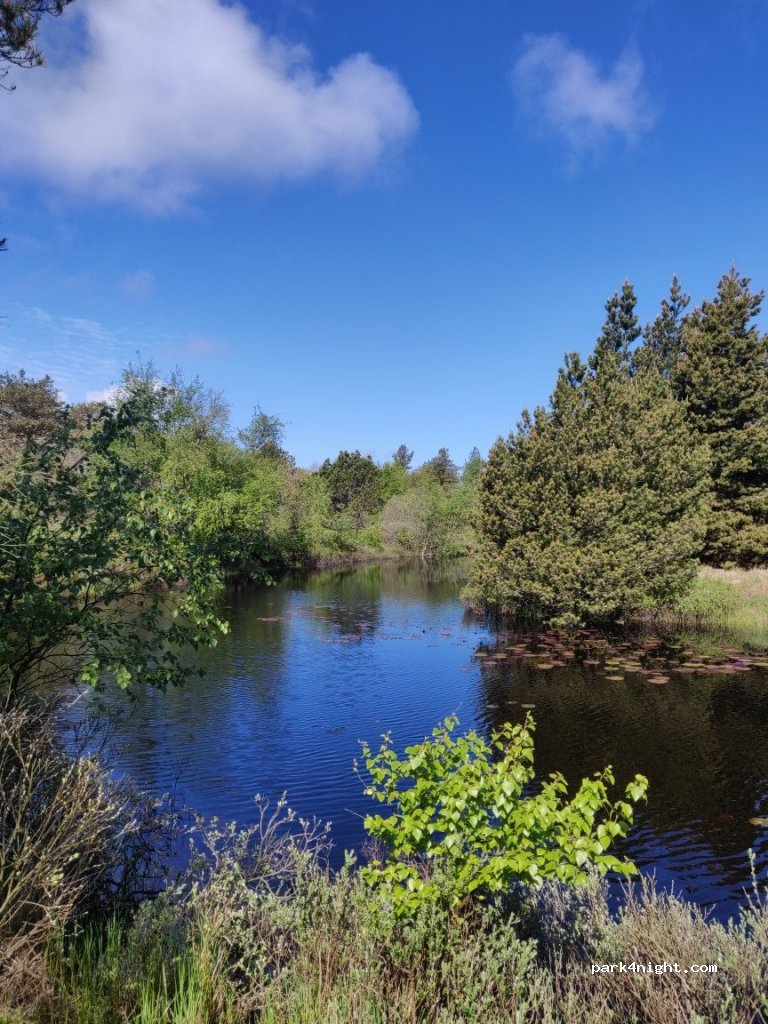 (7741) Frøstrup - Klitvejen — foto 3
