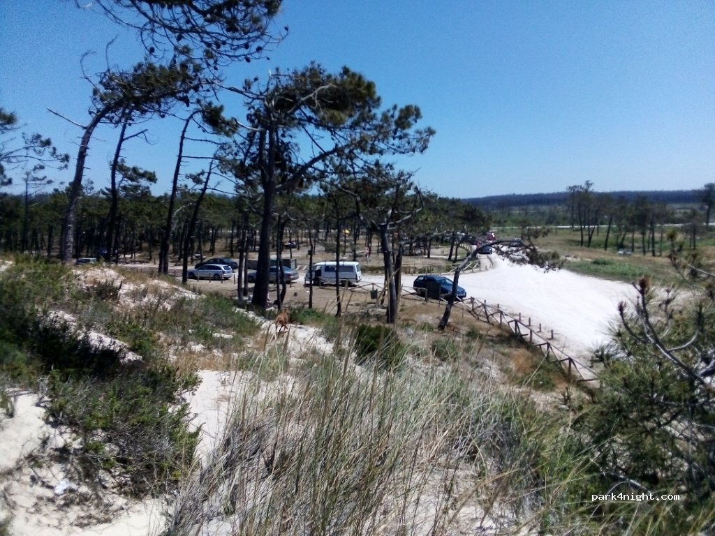(2430) Vieira de Leiria - 92 Rua Dom Dinis — foto